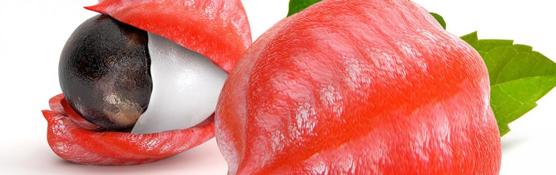 Guarana: Potenzkräuter, die nicht zu übersehen ist